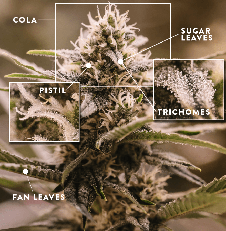 Screenshot 2023-08-21 at 10.24.48 PM